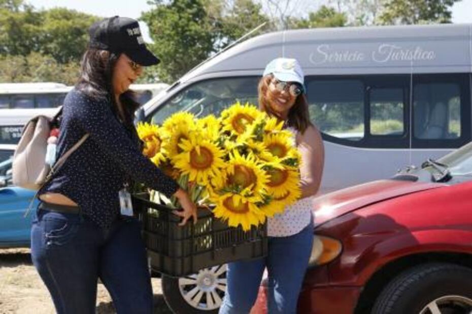 Santuario de los girasoles, industria atractiva