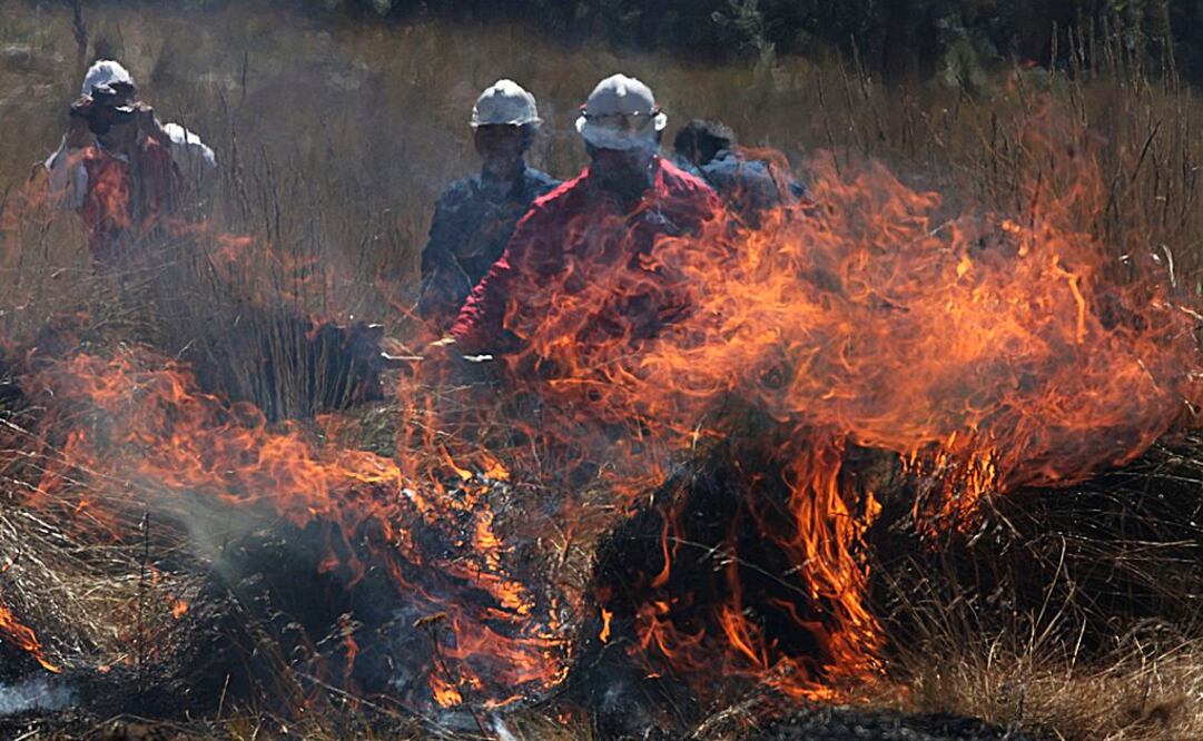 Incendios en Edomex. Foto: Jorge Alvarado. EL UNIVERSAL