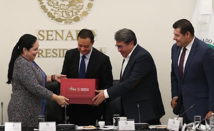 Senado recibe Paquete Económico 2020