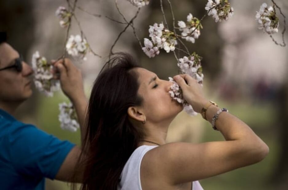 ¿Podría ser permanente la pérdida del olfato y el gusto por Covid-19?