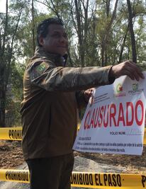 Detienen tala de 400 árboles en Lago de Guadalupe