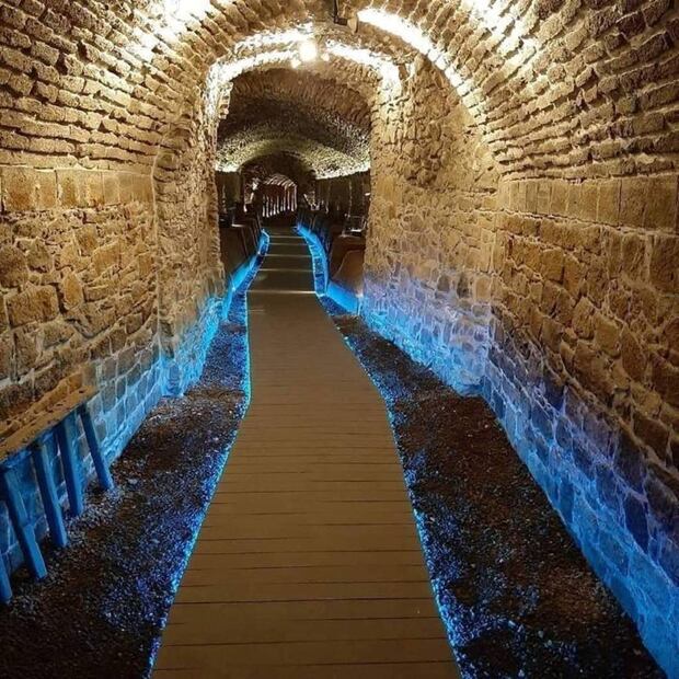 Foto: Maya Travels CDMX