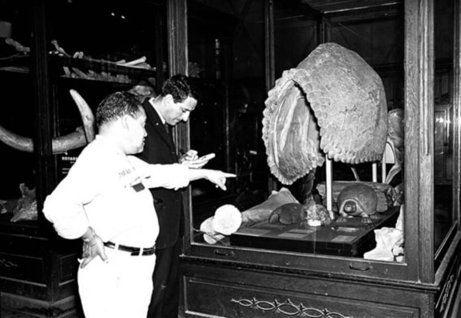 El Chopo: de pabellón japonés a museo universitario