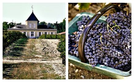 Sublime Status Vinícola