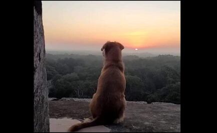 Se vuelve viral imagen de “Osita”, perrita guardiana de Chichén Itzá