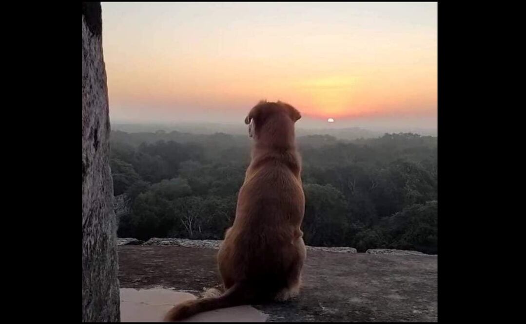 Foto: José Keb Cetina