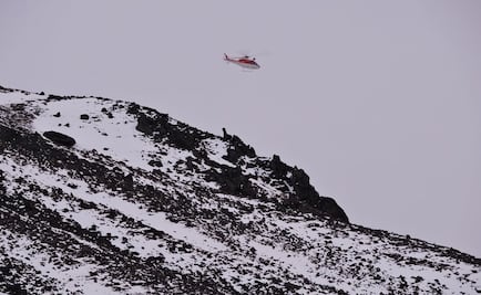 Recuperan 8 mil hectáreas de bosque en Nevado de Toluca