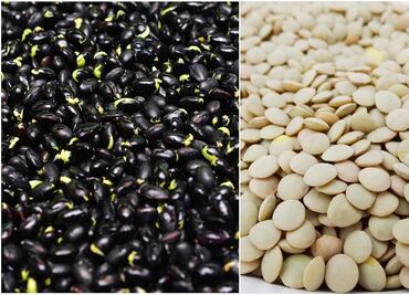 Por problemas de abasto, venden kilo de frijol en 53 pesos y lentejas en 55 pesos