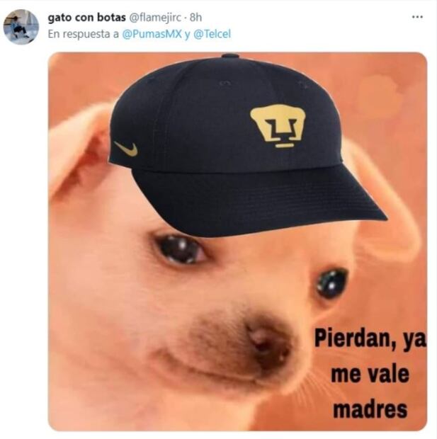 Pumas se adueñó de los memes luego de perder ante Chivas
