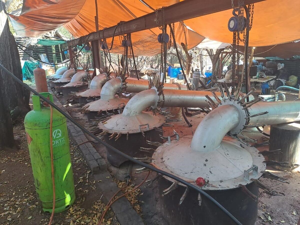 Las autoridades "recibieron información sobre actividades sospechosas que estaban ocurriendo en la granja". Foto: Policía de Sudáfrica