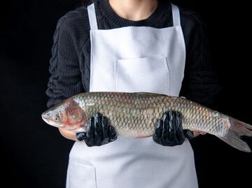 Conoce cómo contribuyen las mujeres a una Pesca con Futuro
