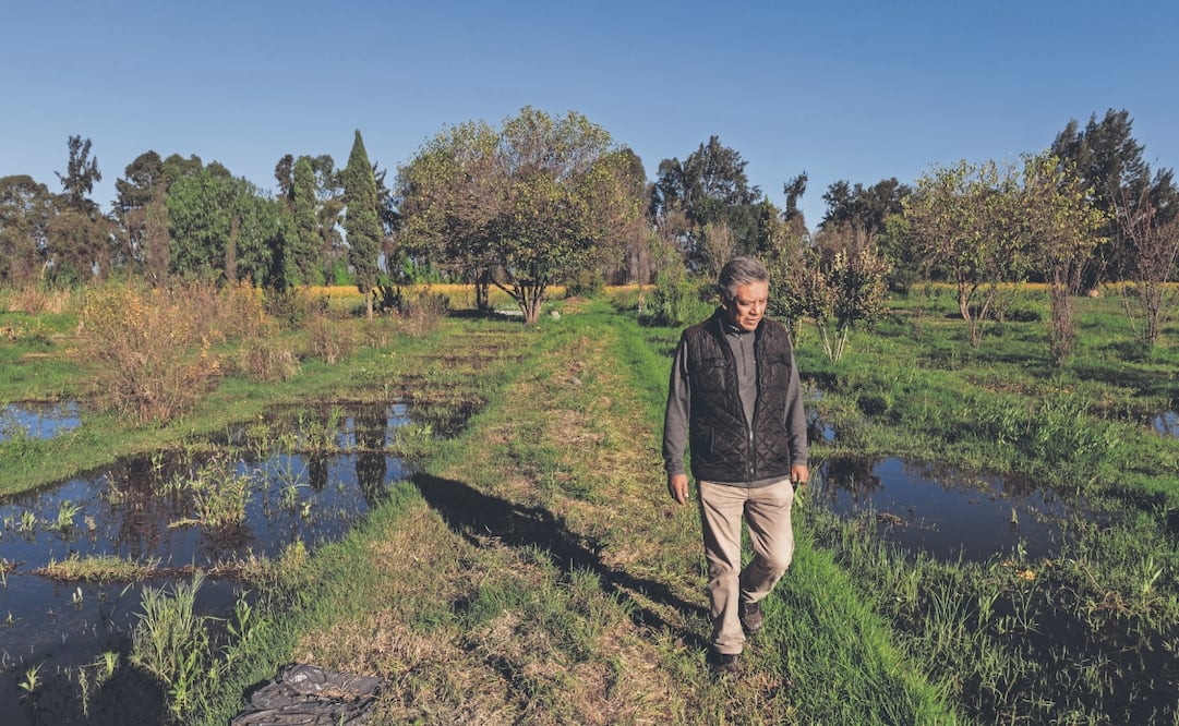 Mario Barrios es uno de los agricultores afectados en San Andrés Mixquic, en Tláhuac, debido a las fuertes lluvias de los últimos días. Foto: de Yaretzy M. Osnaya EL UNIVERSAL