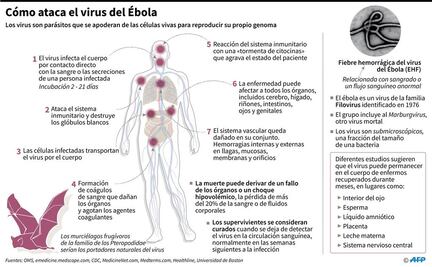 Congo anuncia 4 nuevos casos confirmados de ébola