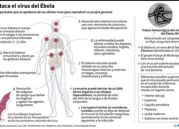 Congo anuncia 4 nuevos casos confirmados de ébola