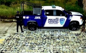 Aseguran 506 kilos de marihuana en paquetería de León; perro “Orkan” detecta el cargamento