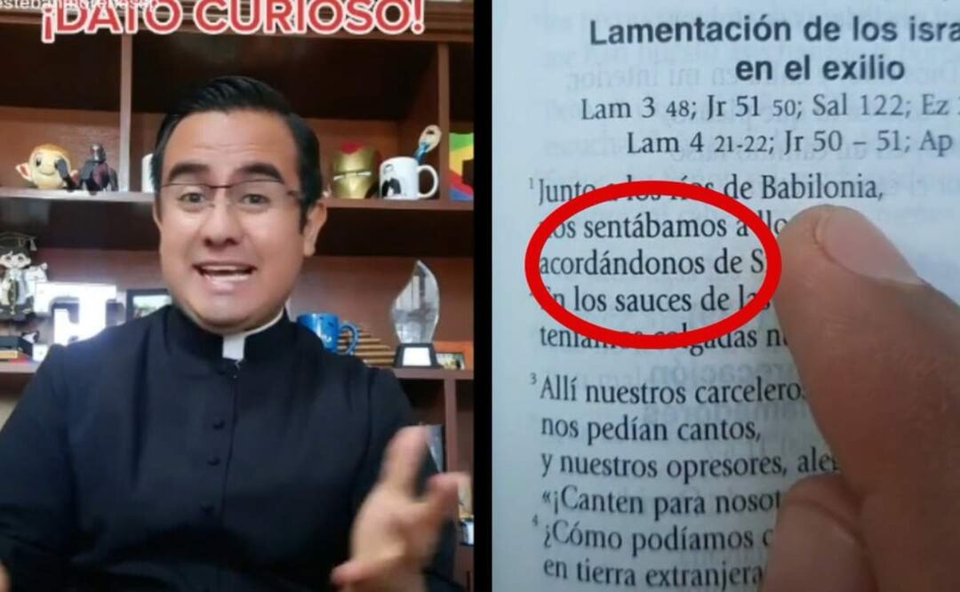 Imagen: Captura de pantalla