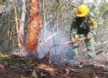 Extinguen incendio en reserva ecológica