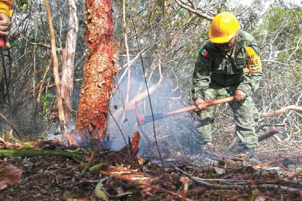 Después de casi un mes, elementos de la Defensa Nacional, junto con autoridades federales y estatales, lograron sofocar las llamas en la Reserva de la Biosfera de Sian Ka’an, la cual seguirá bajo supervisión. Foto/ESPECIAL