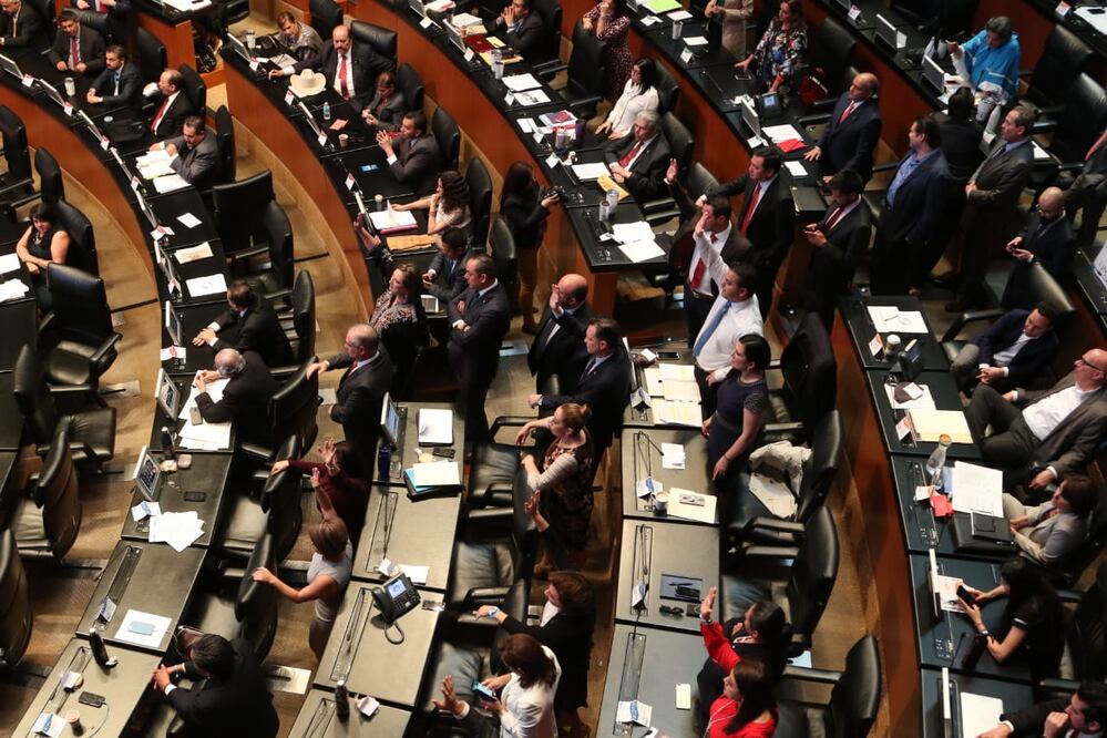 Sesión en el Senado. Foto: Carlos Mejía