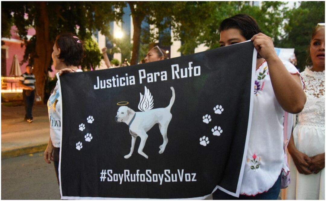 Manifestación de defensores de los derechos de los animales en Yucatán. Foto: Especial
