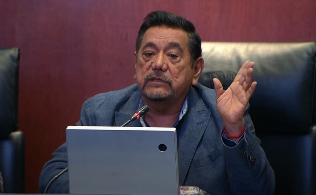 Senador Félix Salgado Macedonio. Foto: Especial