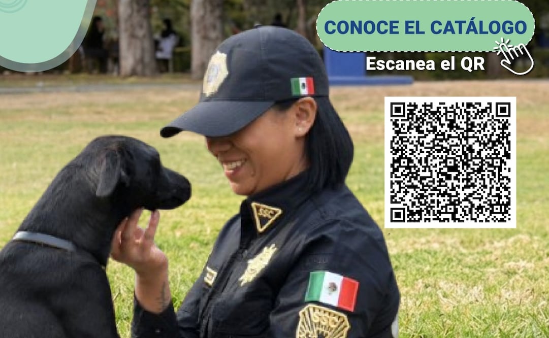 Brigada de Vigilancia Animal pone perritos en adopción. Foto: especial