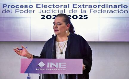 INE defenderá credencial de elector y padrón: Taddei
