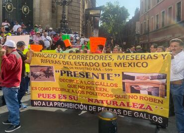"Es nuestro sustento"; galleros y taurinos se manifiestan contra iniciativa para prohibir corridas de toros y peleas de gallos