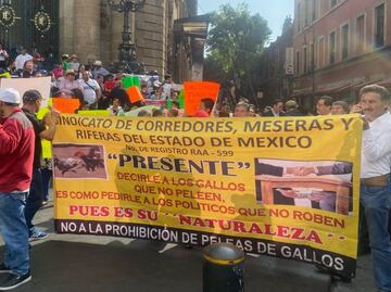 "Es nuestro sustento"; galleros y taurinos se manifiestan contra iniciativa para prohibir corridas de toros y peleas de gallos