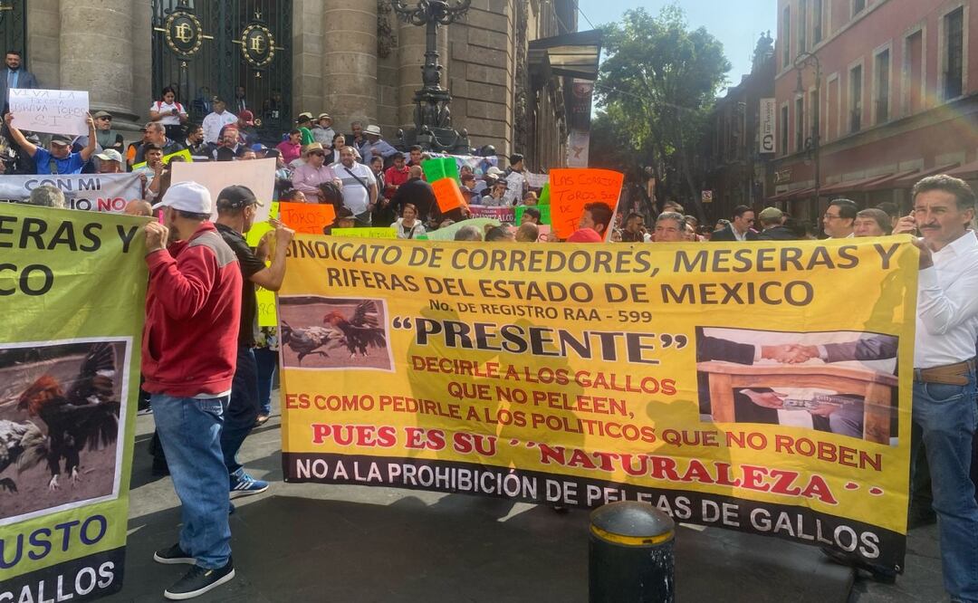 ‘Es nuestro sustento, queremos trabajar’; galleros y taurinos se manifiestan contra iniciativa para prohibir corridas de toros y peleas de gallos. Foto: Omar Díaz