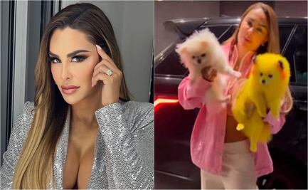 Ninel Conde es criticada por "fomentar" el maltrato animal