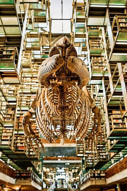 Japón en la Vasconcelos: 7 actividades increíbles y gratuitas