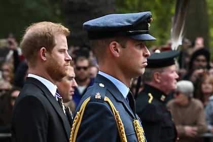 Harry y William frente a frente otra vez: el evento que podría reunirlos tras años de distancia
