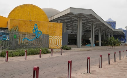 “No es una provocación, Papalote está en peligro de extinción”