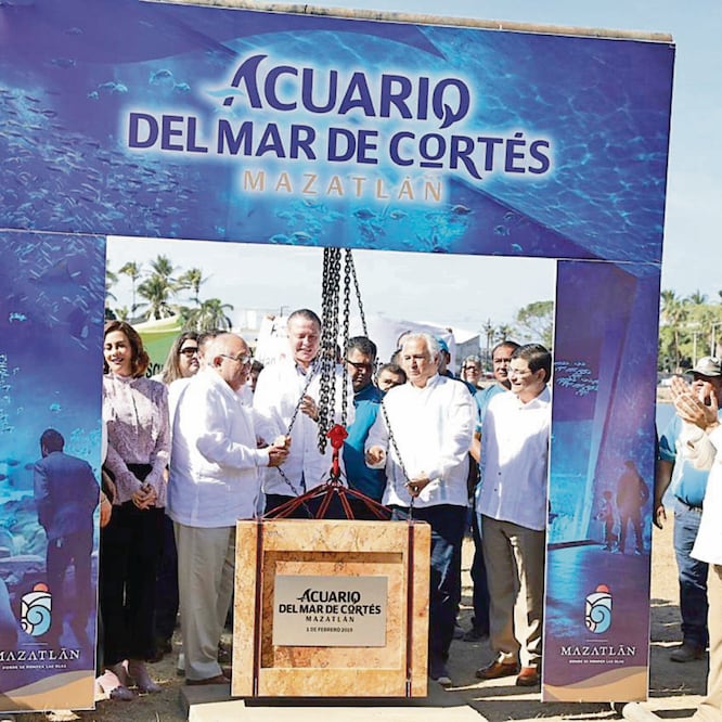 Comienzan obras del Acuario Mar de Cortés