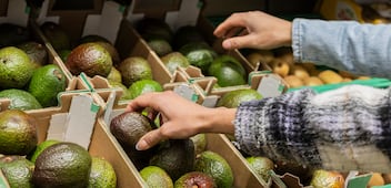 Estados Unidos reactiva inspecciones de aguacate en Michoacán: esto cambió tras la suspensión