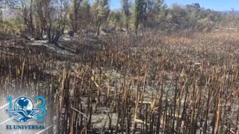 Incendio de Xochimilco afectó 70 hectáreas; tardaron 10 horas en sofocar el fuego