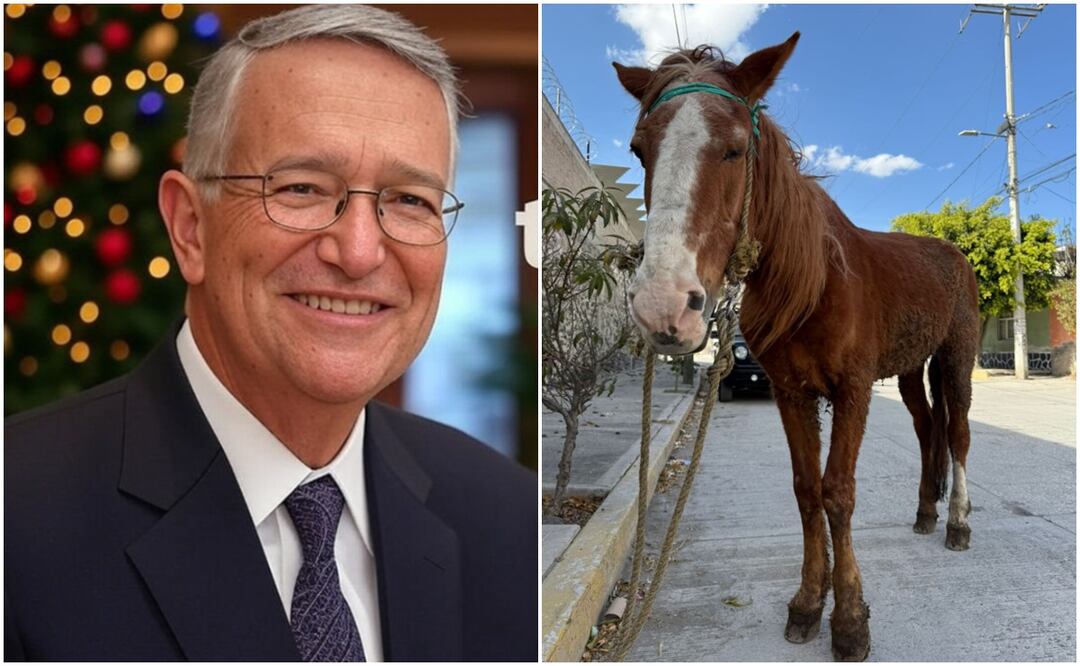 La fundación Seres Libres A.C. le solicitó una donación al multimillonario. Fotos: Redes Sociales