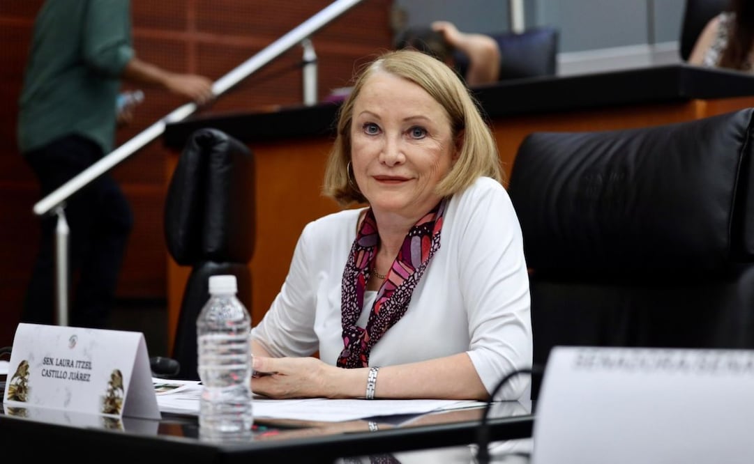 Laura Itzel Castillo, senadora de Morena. Foto: Especial
