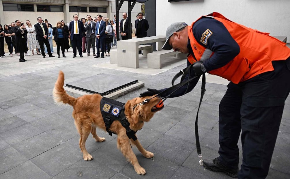 Gobierno dona dos binomios caninos a la UNAM para prevención de riesgos (05/03/2026). Foto: Especial