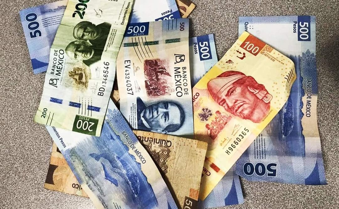 Foto: ARCHIVO/ Cartera