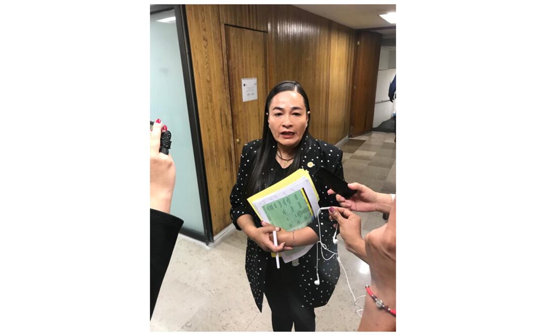 La coordinadora del PRD en la Cámara de Diputados, Verónica Juárez Piña. Foto: Horacio Jiménez