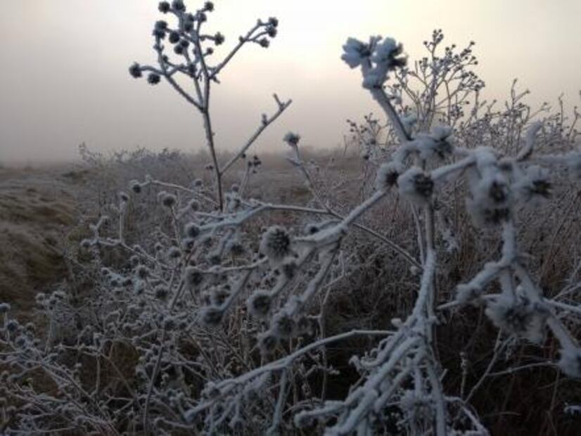 Postales de invierno en la República Mexicana