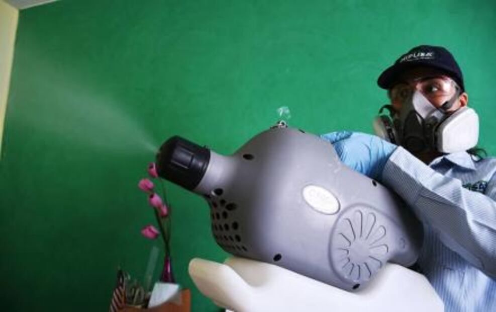 Alertan en varias entidades por consecuencias de las plagas urbanas