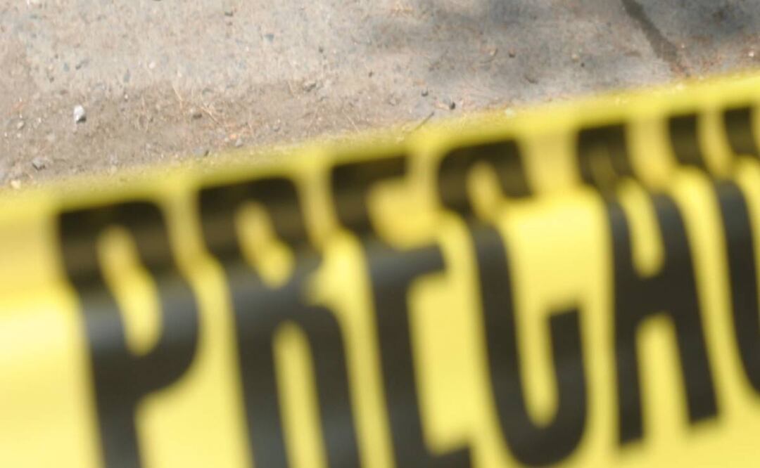 Foto: Especial/El Universal