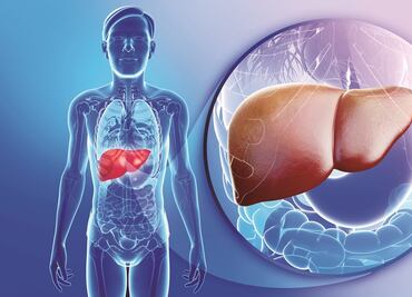 Hepatitis y cáncer de hígado, dúo letal