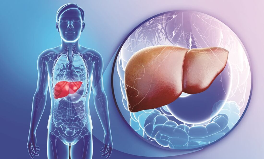 Foto: Especial / Chécate El Universal