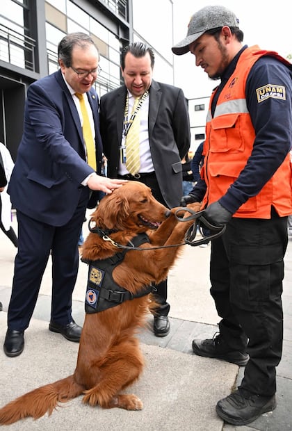 Gobierno dona dos binomios caninos a la UNAM para prevención de riesgos (05/03/2026). Foto: Especial