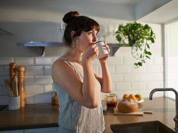 La infusión a base de una común especie que combate el sedentarismo y ayuda a dormir por las noches