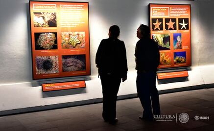 El Templo Mayor abre las puertas al inframundo acuático
